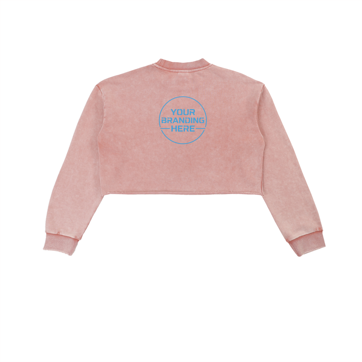 Snow Washed Raw Edge Cropped Sweatshirt - RW0004-C001-V2